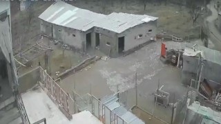 Nevşehirde fırtına ağıl ve mandırayı vurdu: 12 koyun telef oldu