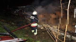 Orduda ahır yangını: 27 büyükbaş hayvan telef oldu