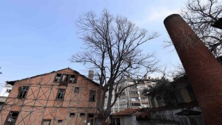 Osmangazide Roman Gal ve Arkeo Park projeleri Bursanın kültür hayatına kazandırılıyor