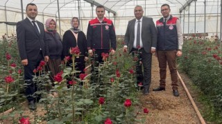 Osmaniye Gül Seralarında Sevgililer Günü Heyecanı