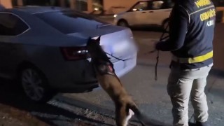 Osmaniye’de 36 Kilo Skunk Ele Geçirildi