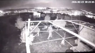 Osmaniyede hobi bahçesine giren hırsızlar 25 güvercini çaldı