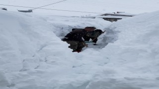 Ovacıkta besicilerin zorlu kış mesaisi: Hayvanları suya götürmek için metrelerce kalınlıktaki karı kürekle temizlediler