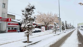 Patnosta kar sürprizi: İlçe merkezine 40 cm kar yağdı