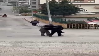 Rahatsızlanan yaşlı vatandaşı belediye işçileri kucaklarında taşıdı