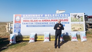 Şahinbey Belediyesi 75 milyon metrekarelik mera alanını gübreledi
