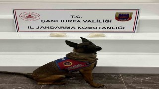 Şanlıurfada 2 kilo uyuşturucu ele geçirildi: 2 gözaltı