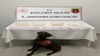 Şanlıurfada 4 kilogram uyuşturucu ele geçirildi: 3 gözaltı
