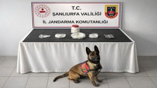 Şanlıurfada uyuşturucu operasyonu: 1 gözaltı