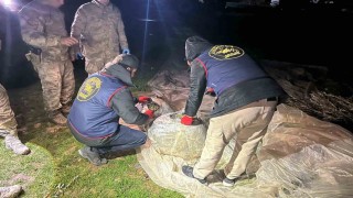 Şanlıurfada uyuşturucu operasyonu: 2 gözaltı