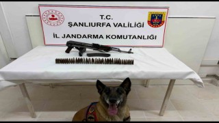 Şanlıurfada uzun namlulu silah ele geçirildi: 1 gözaltı