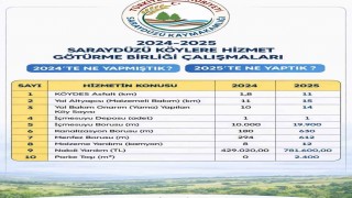 Saraydüzü köylerinde hizmet seferberliği