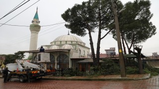 Şehzadeler Belediyesinin budadığı dallar ihtiyaç sahiplerinin ocağını ısıtıyor