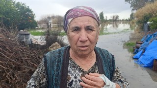 Selde mahsur kalan köpeği AKOM ekipleri kurtardı