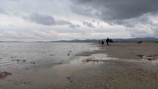 Seyfe Gölünde sevindiren gelişme: Su seviyesi arttı