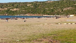 Sıcaklığın 28 dereceye çıktığı Bartında plaj ve parklar doldu