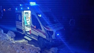 Siirtte hasta taşıyan ambulans ata çarptı