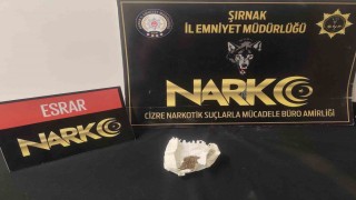 Şırnakta 17,8 milyonluk kaçak ürün ele geçirildi: 10 tutuklama