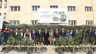 Şırnakta 25 bin 200 fidan toprakla buluştu: 810 dekar meyve bahçesi oluyor