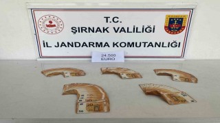 Şırnakta jandarmadan kaçakçılığa büyük darbe