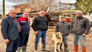 Söke Ovasında yağış sonrası zarar tespit çalışmaları