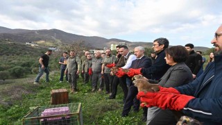 Tedavisi tamamlanan yırtıcı kuşlar özgürlüğe kanat çırptılar