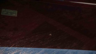 Trabzonspor: Sporcularımızın ve teknik heyetimizin can güvenliği açık şekilde tehdit altındadır