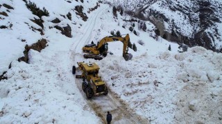 Vanda çığ düşen yol ulaşıma açıldı