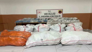 Vanda gümrük kaçakçılığı operasyonu