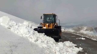 Vanda kar nedeniyle kapanan 67 yerleşim yerinin yolu açılıyor
