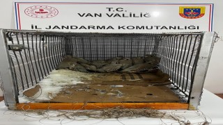 Vanda keklik avına 75 bin 303 TL idari para cezası