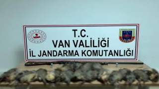 Vanda keklik avına 87 bin TL idari para cezası