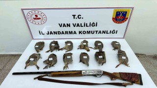 Vanda keklik avlayan kişiye 81 bin TL ceza