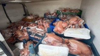 Vanda sağlık ve sevk belgeleri bulunmayan 200 tavuk ele geçirildi