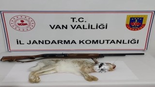 Vanda tavşan avlayan şahsa 29 bin TL ceza