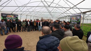 Vezirköprüde çiftçiye 12 bin 500 meyve fidanı