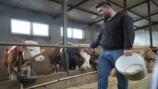 Yem desteği Bayburtlu çiftçinin yüzünü güldürdü: Bu destek bize iyi geldi