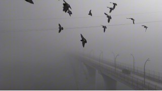 Yoğun sisten kaybolan yapılar dronla görüntülendi
