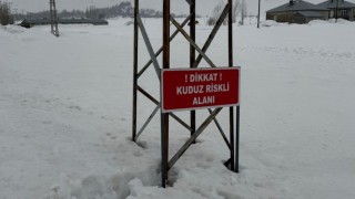 Yüksekovada kuduz alarmı: Ekiplerin müdahalesiyle durum kontrol altına alındı