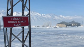 Yüksekovada kuduz vakası