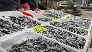 Zonguldakta Sevgililer Gününe özel hamsi kampanyası: Kilosunu 100 liradan sattılar