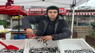 Zonguldakta tezgahta hamsinin yerini istavrit ve mezgit alacak