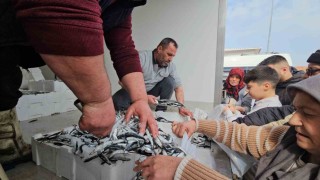 1 ton hamsi 15 dakika da tükendi