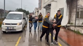 Adanada atlara eziyet iddiası: 2 kişi gözaltına alındı
