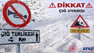 AFADdan Van için çığ uyarısı