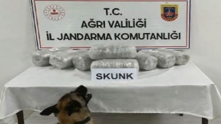 Ağrıda 10 kilogram skunk ele geçirildi, 1 şüpheli tutuklandı