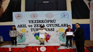 Akıl ve Zekâ Oyunları Turnuvası