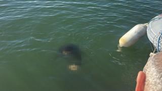 Akülü tekerlekli sandalyesiyle denize düşen kişi kurtarılamadı