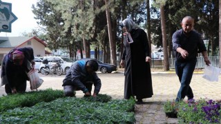 Alanya’da Mezarlıklara 67 Bin Çiçek Dağıtımı