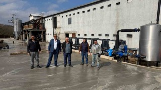 Alaplı Çayında telef olmuş tavukların bulunmasının ardından tavuk çiftliği sahibi suçlamaları reddetti